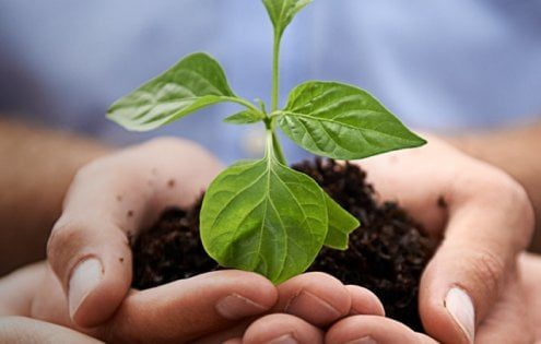 125404136-28221561-f515-499c-89fa-10fb1aeb3d02